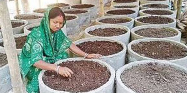 কেঁচো সার উৎপাদন করে স্বাবলম্বী পার্বতীপুরের গৃহবধূ পুতুল রানী